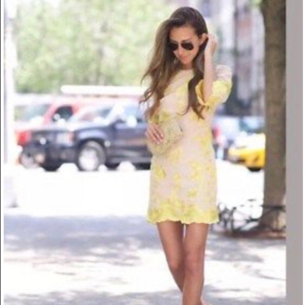 Paige - Embroidered Chiffon Shift Dress